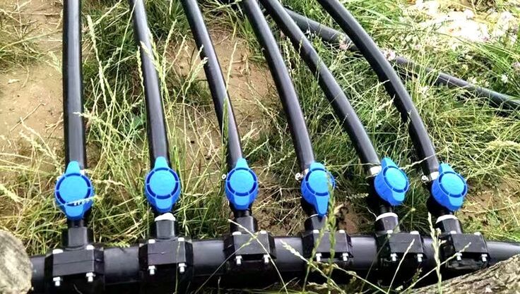 1 hectare Model Farm Agricultural Irrigation… e1757526690683