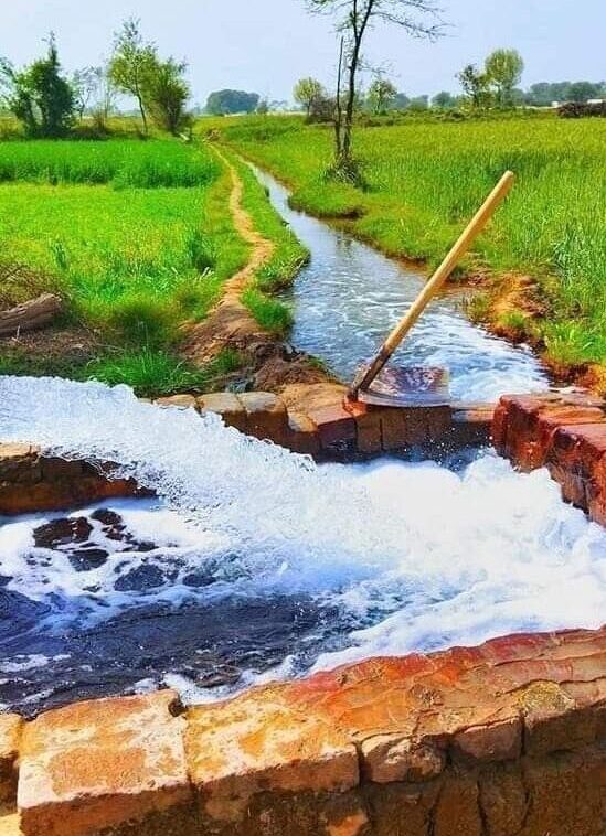 5dbb4ee7 5a91 4074 8e15 4170b9137138 e1755771336995