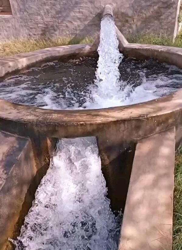 66a2763f d55f 4e25 b83d 51b986be7e76 e1757663850880