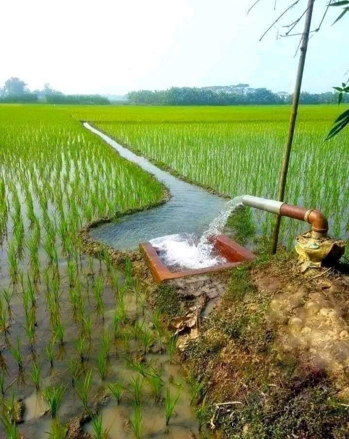 e6bf4927 ffda 4071 a5ab c19cfed3b32b e1755769251678