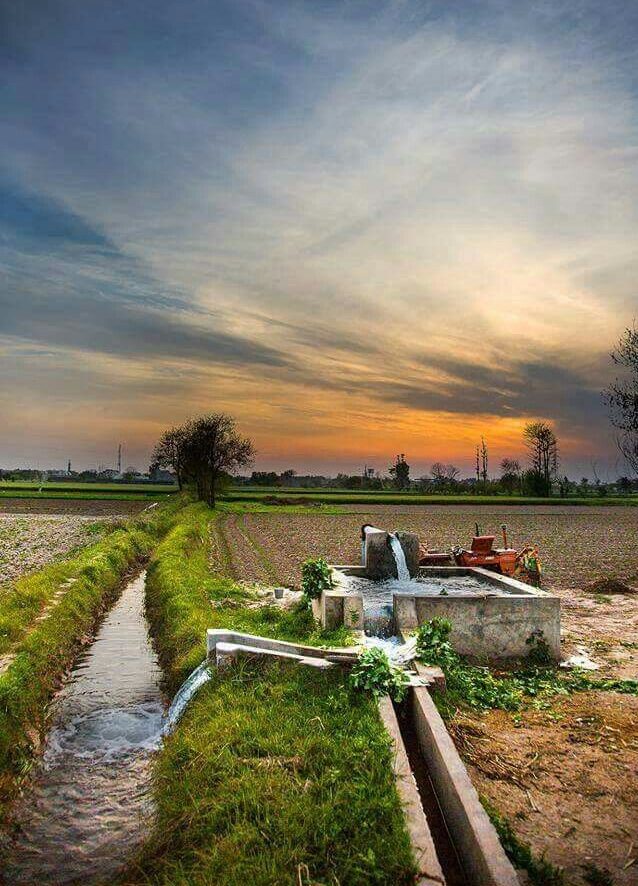 village punjab Pakistan e1755771011139