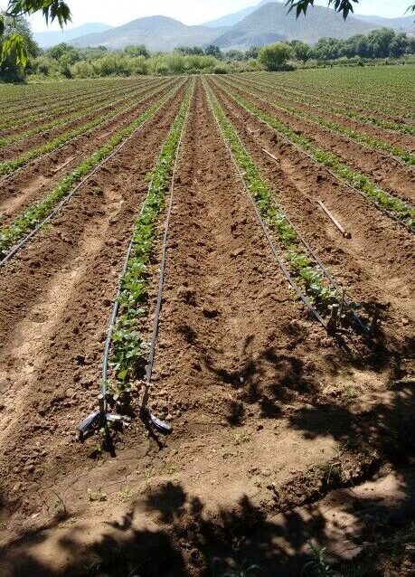 9c3ffb5d 9b81 4847 849c 7b7696c84507.jpeg e1757663729176